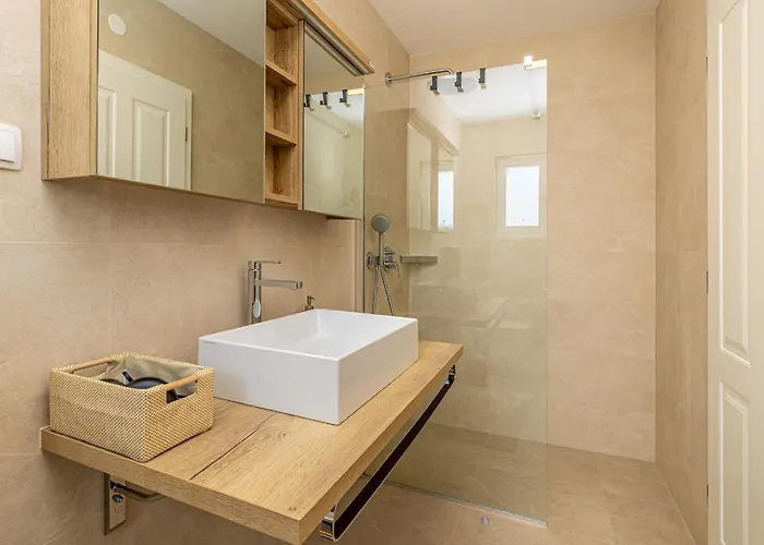 Villa House Dan With Private Pool Kras