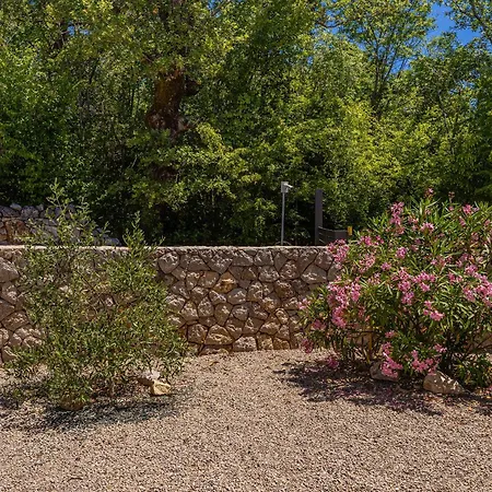 Villa House Dan With Private Pool Kras